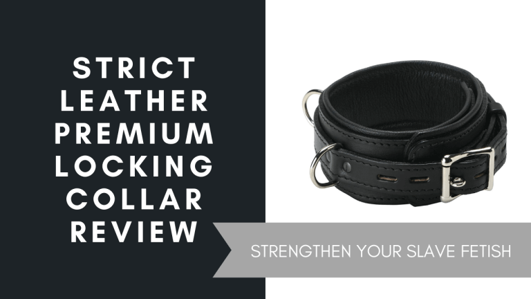 Strict Leather Premium Locking Collar Review, June 2021